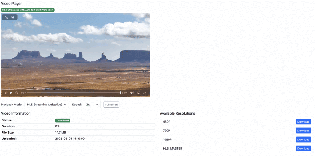 ui of the streaming video show